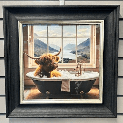 Splashing Baby Highland Cow