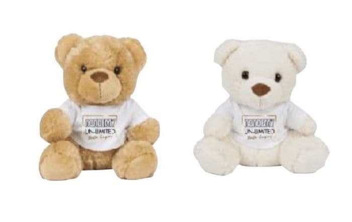 Academy Un-limited   Teddy Bear with printed t. shirt