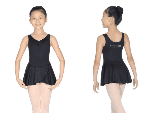 David Stinson Theatre School RVMEDLEY Skirted Leotard