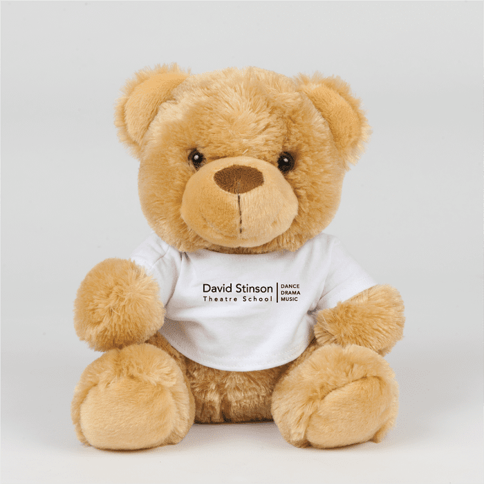 David Stinson Theatre School  Teddy Bear with printed t. shirt