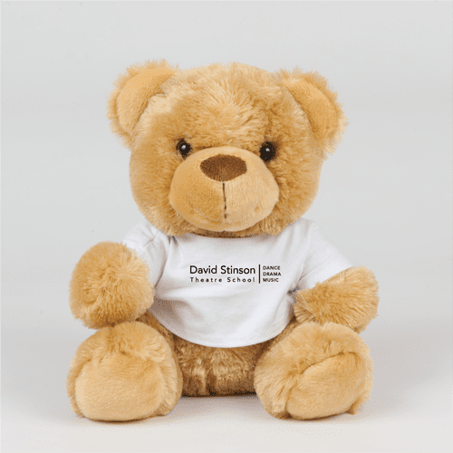 David Stinson Theatre School Teddy Bear with printed t. shirt