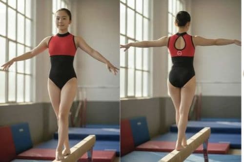 DBA 2 colour high neck leotard