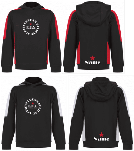 DBA Team Pullover Hoodie LV342/1