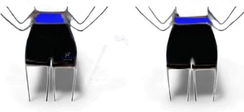 Full Circle Dance & Acro hot pants with contrast trim