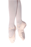 So Danca SD16 Stretch Canvas Ballet Shoe, Split Sole