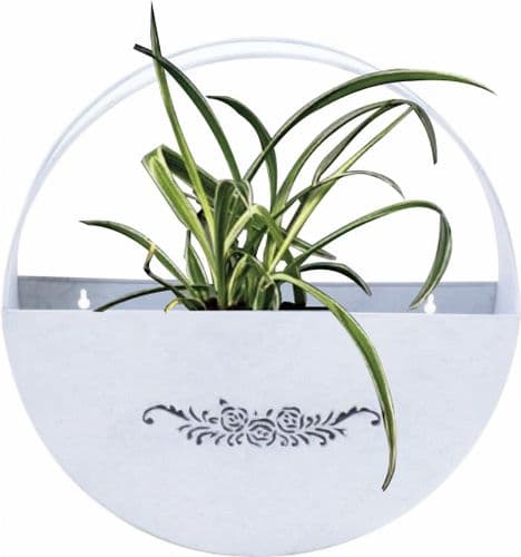 Wall Planter