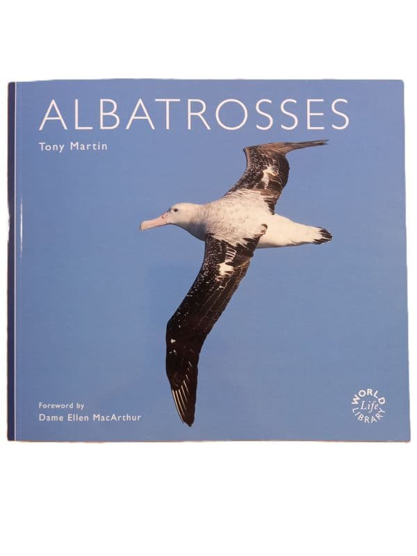 Albatrosses