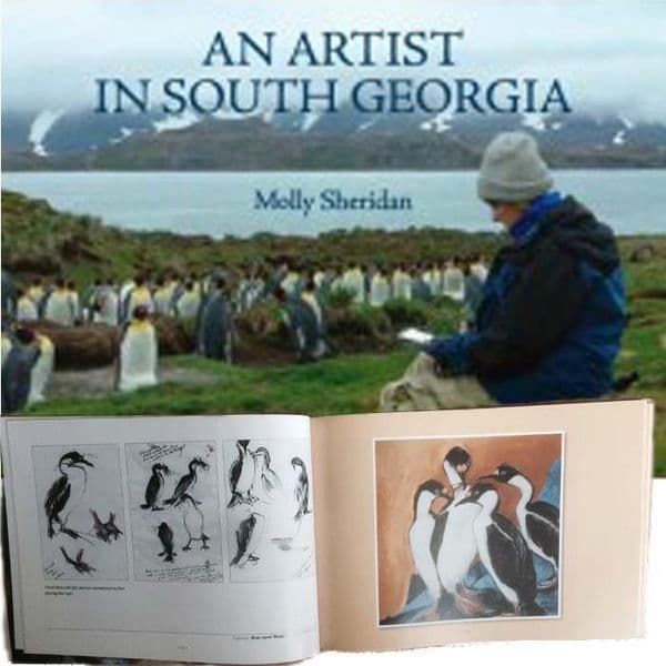 An Artist in South Georgia by Molly Sheridan