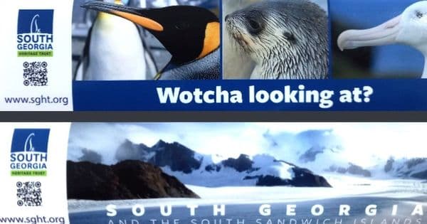 SALE ** Car Window Sticker ** SALE