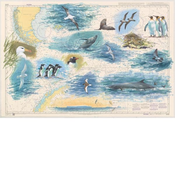 Southern Ocean Chart 2: South Georgia & Southern Ocean. Print Signed and Numbered by artist.