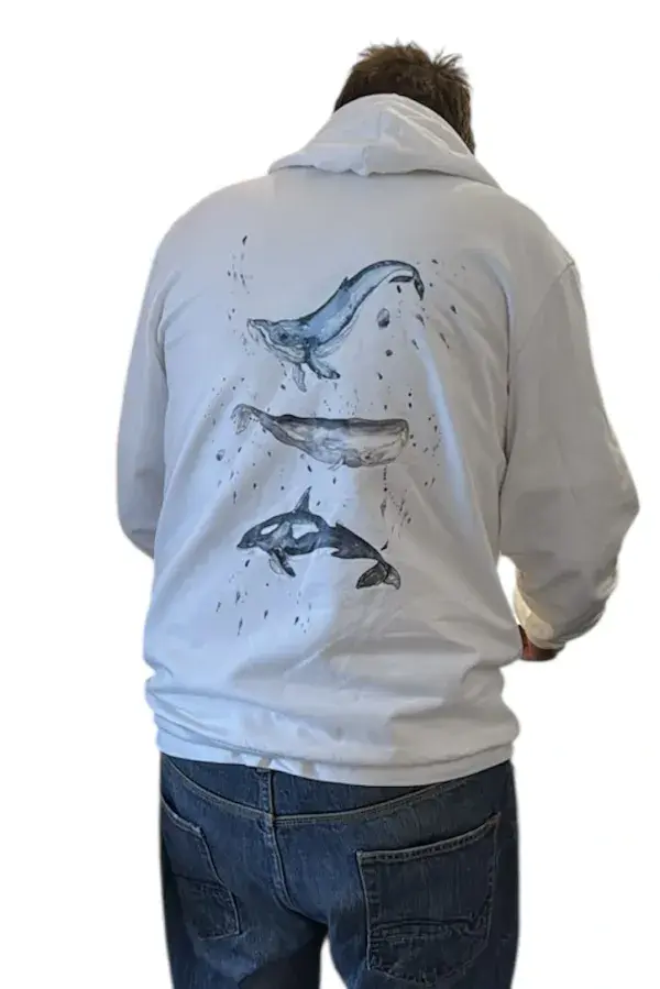 Whale Design 