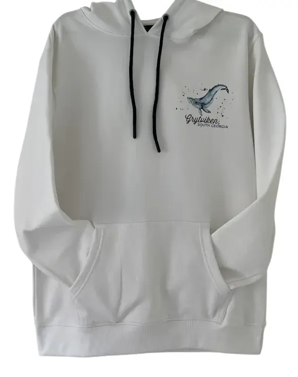 Whale Design 