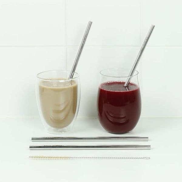 A Slice of Green Stainless Steel Straws 2 pack + brush