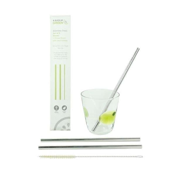 A Slice of Green Stainless Steel Straws 2 pack + brush