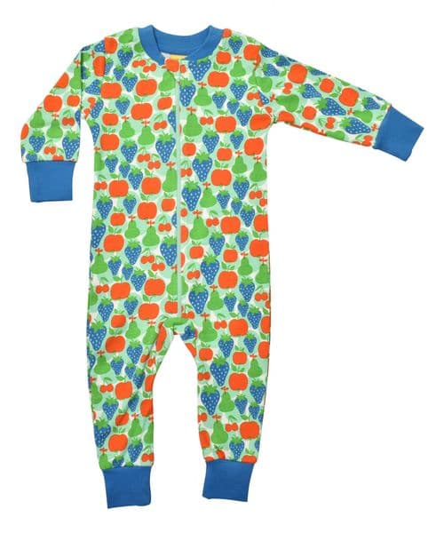 Duns Fruits Beach Glass  Zip Suit