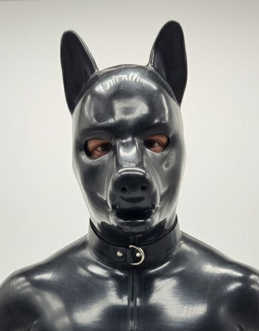 Extra Thick Latex Puppy Hood with Padlock Collar