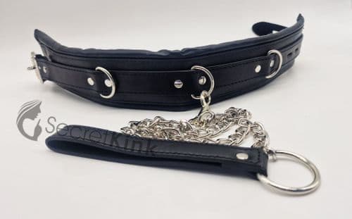 Padded Collar and Chain Leash