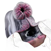 Zebra Pussy Lifelike Fake Vagina Fleshlight Masturbator Sex Toy Pocket