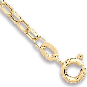 9ct Yellow Gold 2.6mm Hollow Diamond Cut Belcher Anklet