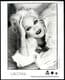 BEDTIME STORIES - 1994 SIRE 10 x 8