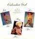 CALENDAR GIRL - VINYL LP