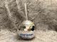 CONFESSIONS II / ABSOLUT RELEASE PARTY - PROMO DISCOBALL CUP