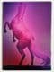 CONFESSIONS TOUR - 2006 TOUR CONCERT PROGRAMME
