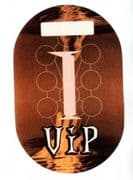 DROWNED WORLD TOUR - UNUSED OFFICIAL VIP PASS #1