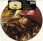 MUSIC - UK 12" PICTURE DISC (W537TX1)