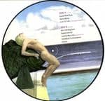 RARE MOMENTS (VOL.2) - SEX BOOK LP PICTURE DISC