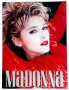 VIRGIN TOUR - 1985 USA OFFICIAL TOUR PROGRAMME