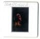 WHO'S THAT GIRL TOUR- 1987 PROMO PRESS 35mm SLIDE