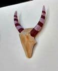 Antelope Skull Wall Art - STRIPED HORNS - *ONE-OFF*