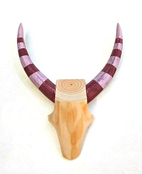 Antelope Skull Wall Art - STRIPED HORNS - *ONE-OFF*
