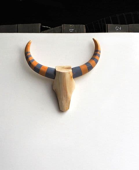 Cattle Skull Wall Art - FLORIDA CRACKER - *ONE-OFF*