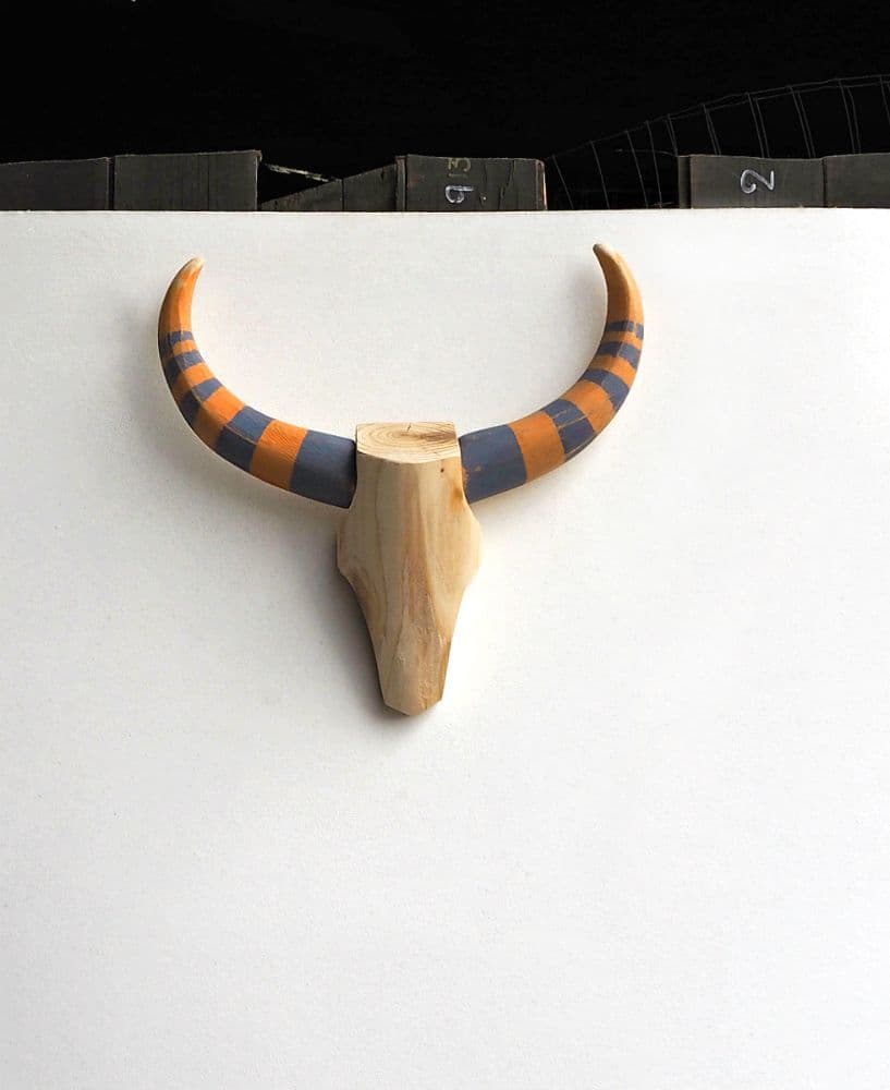 Cattle Skull Wall Art - FLORIDA CRACKER - *ONE-OFF*