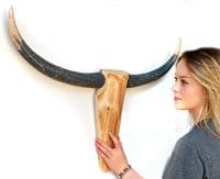 Cattle Skull Wall Art - STYLE NO.1