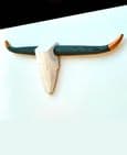 Cattle Skull Wall Art - STYLE NO.4