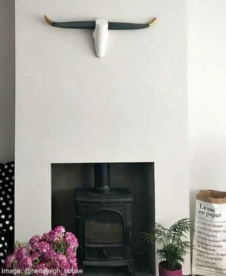 Cattle Skull Wall Art - STYLE NO.4