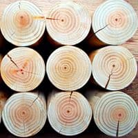 Decorative Logs - CIRCULAR STYLE