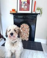 Decorative Logs - NATURAL STYLE
