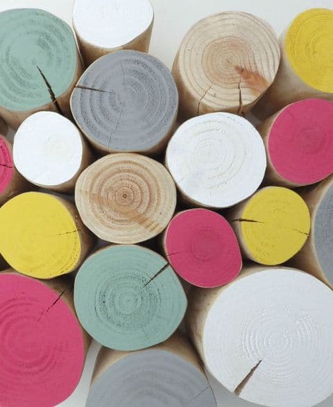 Decorative Logs - SHERBET Colour Mix