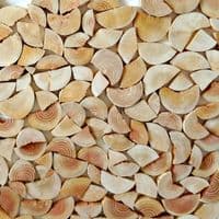 Log Wall Tiles - RUSTIC SPLIT STYLE