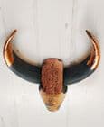 VALHALLA *ONE-OFF* COPPER ACCENTS BULL'S HEAD