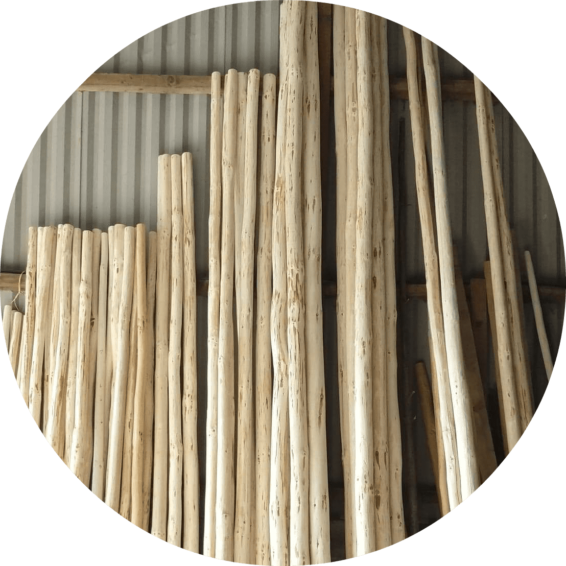 Tipi tepee teepee poles and rustic poles from tipipoles.co.uk sister site to The Log Basket