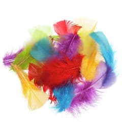 Feathers