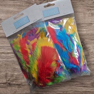 Feathers: Assorted -  4"-5"