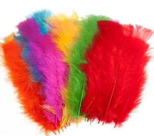 Feathers: Assorted - large 6"-8" appx