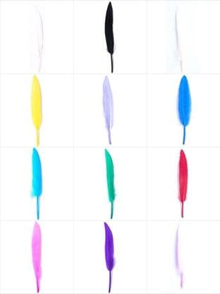 Feathers: Duck - Full Colour Range
