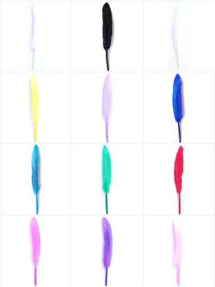 Feathers: Duck with Glitter - Full Colour Range